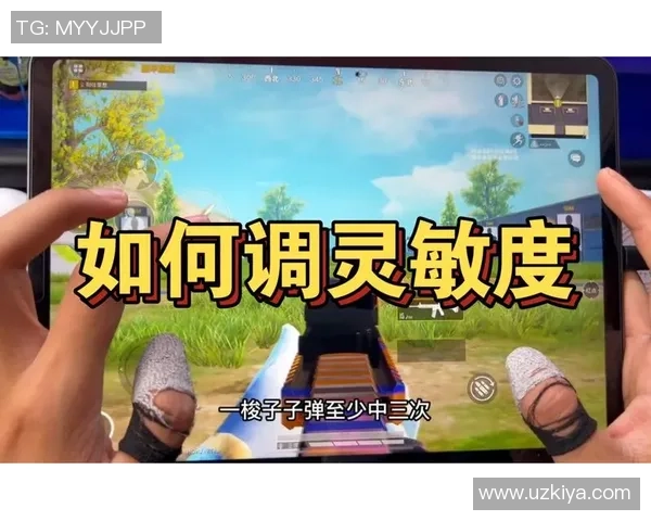 对话李敏:深入探讨和平精英职业生涯的成长与挑战 对话李敏:深入探讨和平精英职业生涯的成长与挑战