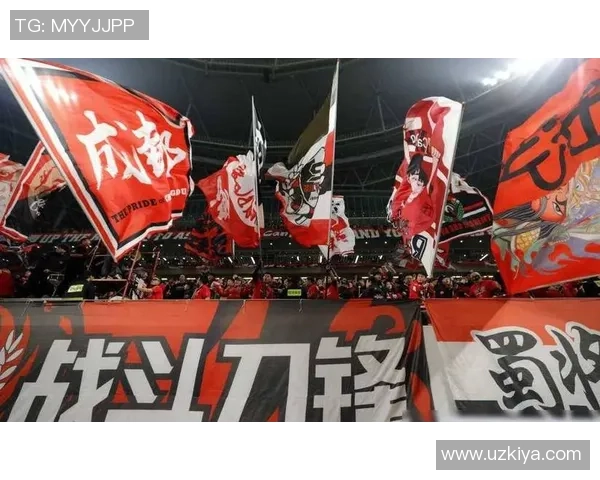 成都足球队的拼搏历程与荣耀时刻全景回顾