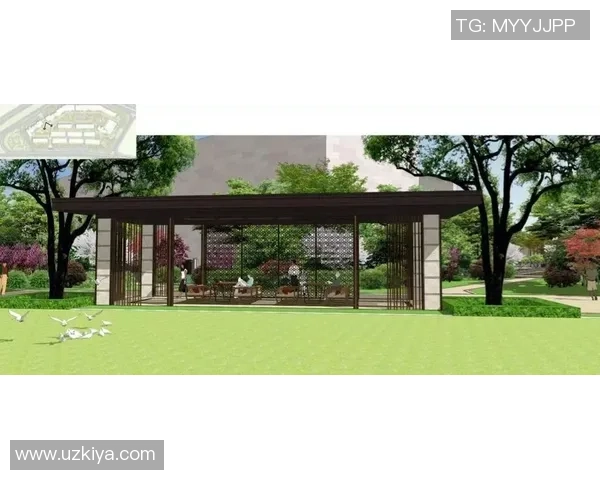 深圳街舞队的文化意识与城市活力交融探索之旅