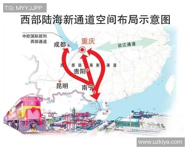 重庆篮球队速度飙升创历史新高引发全城热议